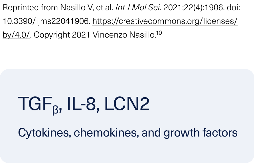 TGF-beta, interleukin 8, and lipocalin-2 lead to increased fibrosis, constitutional symptoms, and an abnormal bone marrow microenvironment